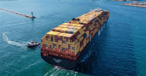 MSC Reveals Future Standalone East West Service Network Container News