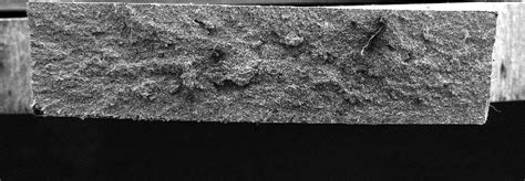 Fracture Surface Micrograph Of Aisi Steel Sample Tested At