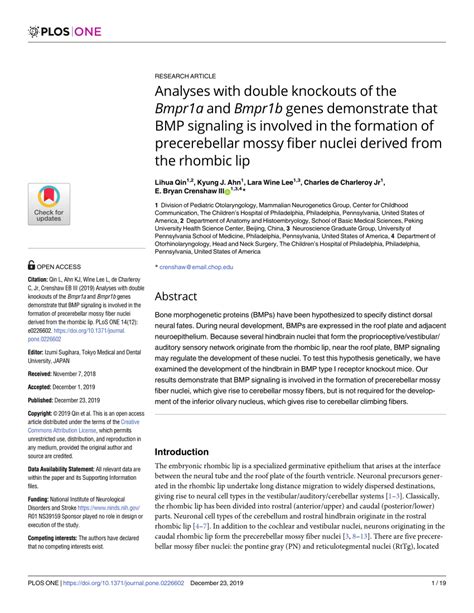 PDF Analyses With Double Knockouts Of The Bmpr1a And Bmpr1b Genes