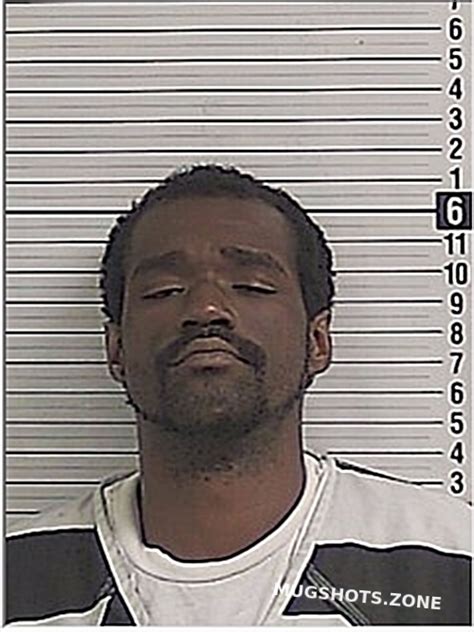 Williams Michael Lee Bay County Mugshots Zone