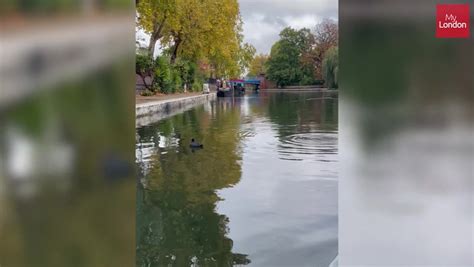 The London canal boat tour from Little Venice to Camden that's the ...