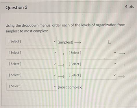 Solved Question 3 4 Pts Using The Dropdown Menus Order Each Chegg