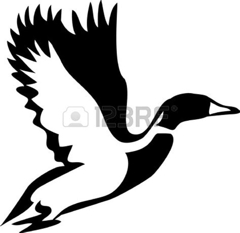 Waterfowls Clipart 20 Free Cliparts Download Images On Clipground 2024