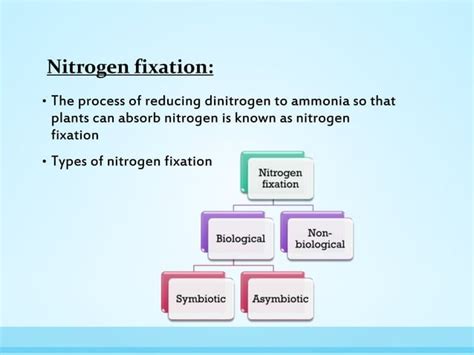 Nitrogen Fixation Ppt