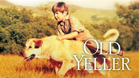 Old Yeller - Movie - Where To Watch