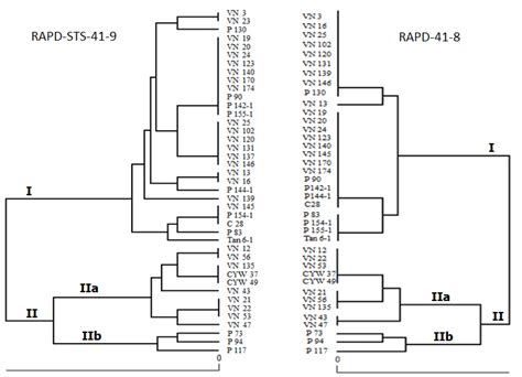 Comparison Of Phylogenetic Trees Constructed By Rapd Sts Analysis