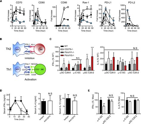 A Single Subset Of Dendritic Cells Controls The Cytokine Bias Of