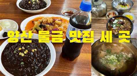 양산 물금 맛집 세 곳 Youtube