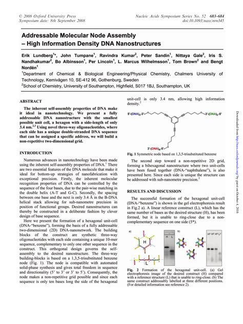 Pdf Addressable Molecular Node Assembly High Information Density