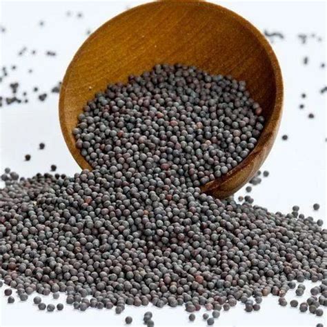 Black Mustard Seeds Packaging Size 1 Kg Packaging Type Packet At Rs