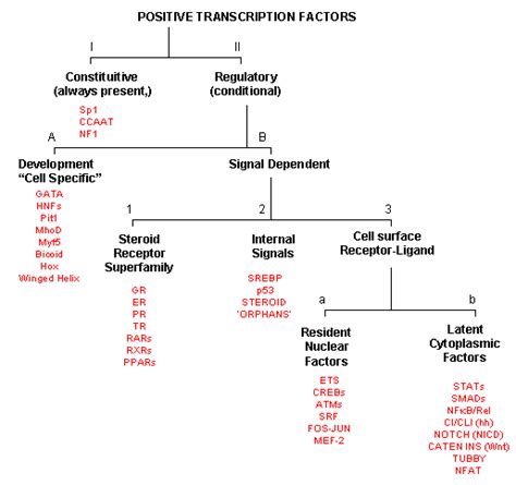 D8 Classification Of Transcription Factors Biology Libretexts