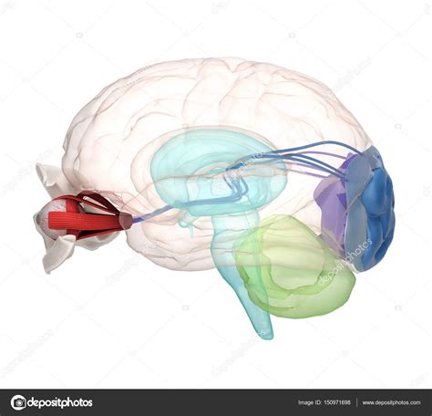 3d Eye Diagram