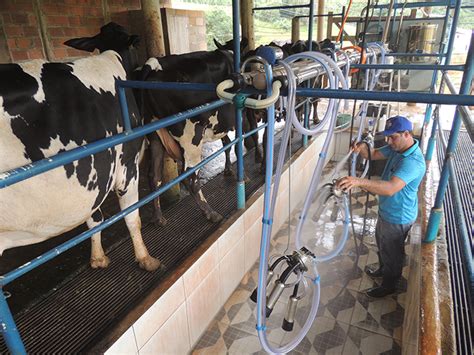 Produtor de leite investe e aumenta produção em cinco vezes mesmo