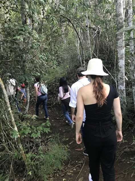 Caminata ecológica en Cundinamarca conoce de botánica