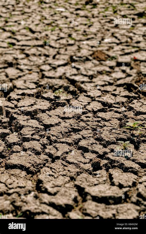 Cracks In Drought Affected Earth Stock Photo Alamy