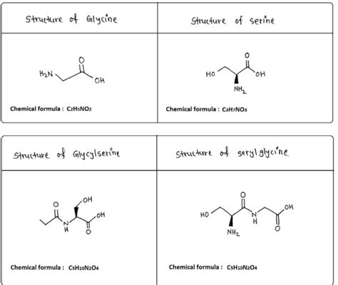 Solved 1 Draw The Condensed Structures Of Glycine Serine Glycylserine Course Hero