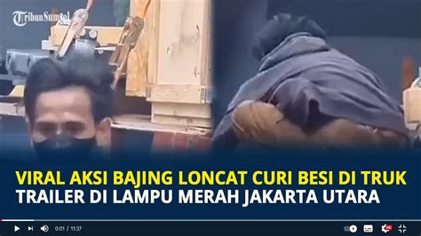 Viral Aksi Bajing Loncat Curi Besi Di Truk Trailer Di Lampu Merah