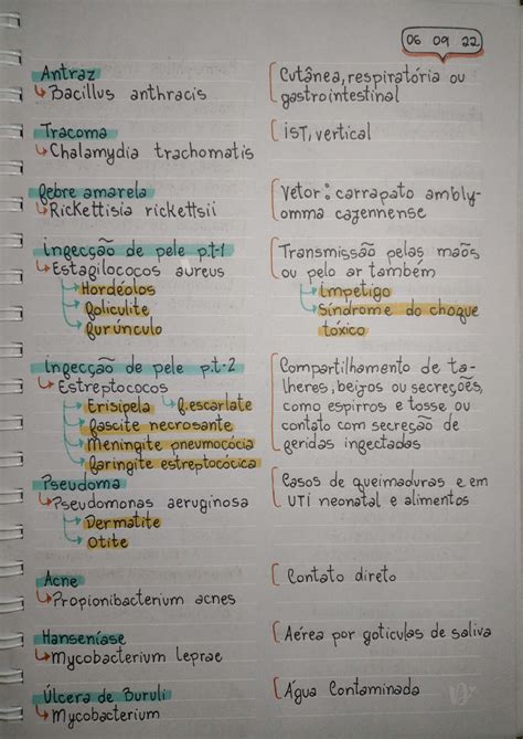 Microbiologia Doen As Causadas Por Bact Rias Microbiologia