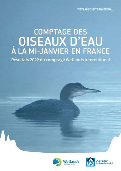 Bilan Du Suivi Des Oiseaux D Eau Hivernants De Janvier 2022 Et