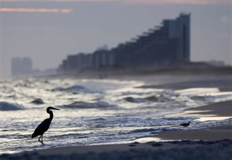 Perdido Key State Park | Florida State Parks