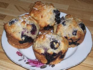 Sugar-Free Blueberry Muffins Recipe - Food.com