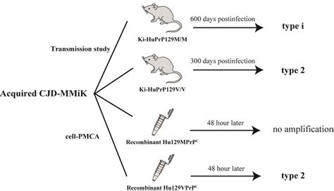 Figure 2 From Application Of Protein Misfolding Cyclic Amplification