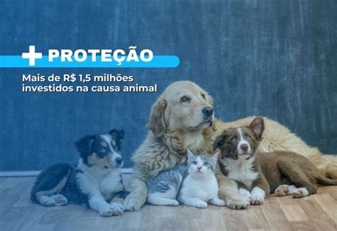 Notícia Mais de R 1 5 milhões investidos na causa animal Município