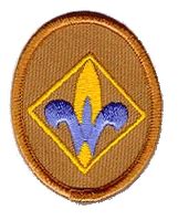 Webelos Arrow Of Light Requirements Shelly Lighting