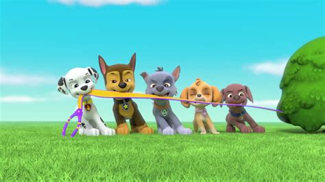 Watch Paw Patrol Season 3 Episode 3 Pups Save A Goldrush Watch Full