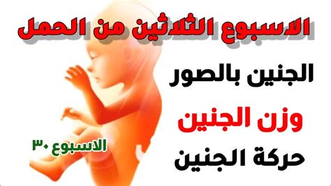 الاسبوع الثلاثين من الحملالاسبوع ٣٠ من الحملالاسبوع 30 من الحمل كم