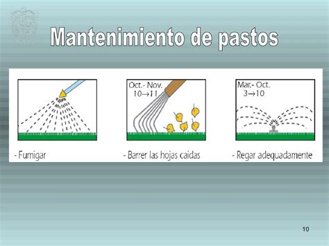 Manejo Y Conservación De Pastos