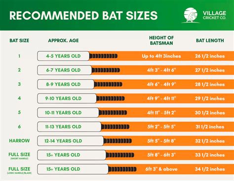 Types Of Cricket Bats: The 8+ Options - Village Cricket Co