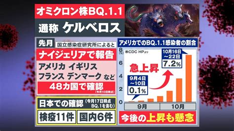 【日本初】オミクロン株の新たな変異ウイルス「xbb」 東京都内で初確認！新たな変異株“グリフォン”と“ケルベロス” 野良猫岡山のネットニュース