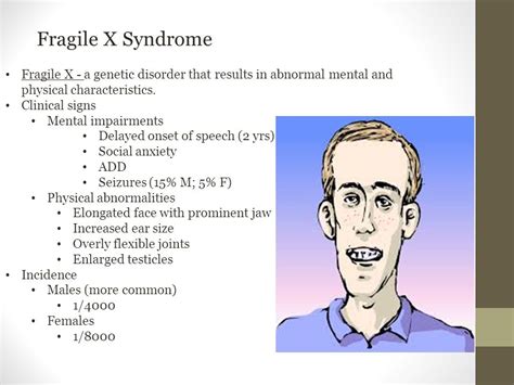 Why Is Fragile X More Common In Males