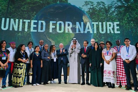 Foto Presiden Jokowi Sampaikan Langkah Indonesia Capai Net Carbon