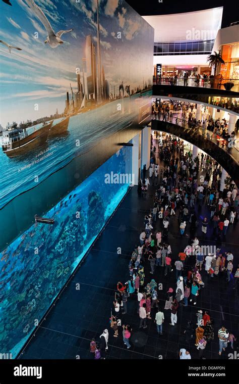 Dubai aquarium mall hi-res stock photography and images - Alamy