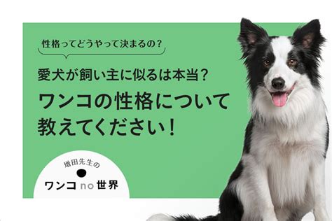 【犬の性格】犬の性格は何で決まるの？愛犬が飼い主に似る説は本当？