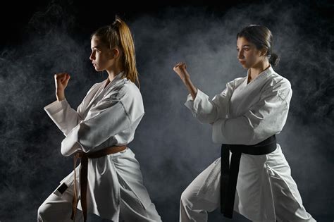 Karate Overview Martial Arts Meta