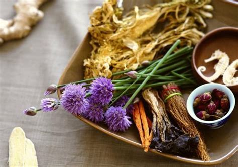 Plantas medicinais para desintoxicar e cuidar do pâncreas