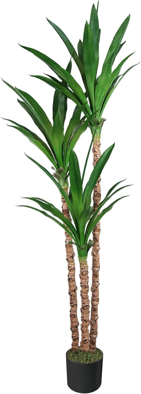 Amazon Melli Welli Artificial Dracaena Agave Plant Ft Tall Faux