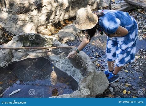 Thai Woman Cooking Boiling Eggs In Hot Spring Of Pa Tueng Hot Spring In Chiang Rai Thailand