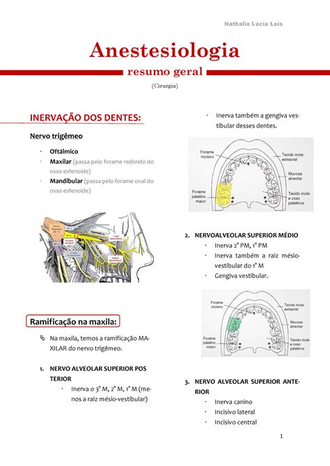 Anestesiologia Resumo Anestesiologia Resumo Geral Cirurgia Inerva