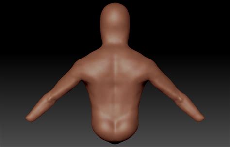 Wip Male Anatomy Critique Polycount