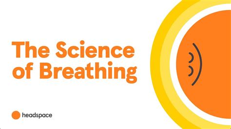 A Neuroscientist Explains How Breathing Impacts The Brain Youtube