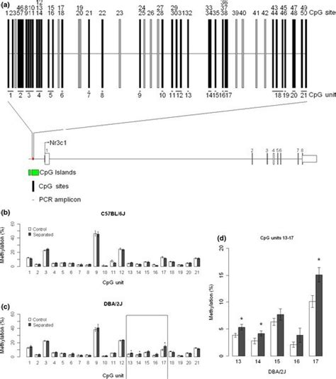 Nr3c1 A Schematic Diagram Showing The Nr3c1 Gene Orientated Reading