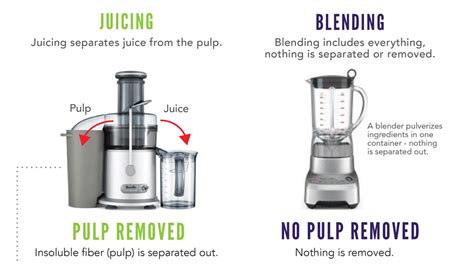 Juicing And Blending Differences In An Infographic Examined Existence