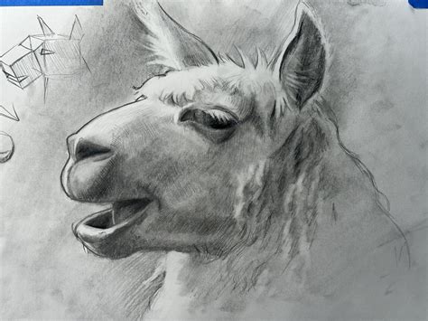 Livestream drawing this week- "A Llama"