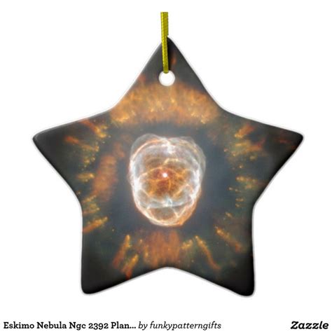 A Star Shaped Ornament With An Image Of A Flower In Its Center