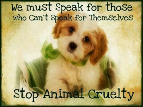 Animal Abuse Quotes Quotesgram