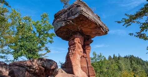 Lieblingsreise Rheinland Pfalz Wandern Wein im Pfälzerwald